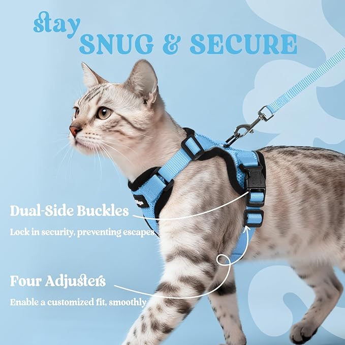rabbitgoo Cat Harness and Leash Set, Escape Proof Kitten Harness for Safe Outdoor Walks, Soft Breathable Adjustable Vest with Reflective Strips for Kittens and Extra Small Cats, Light Blue, XXS