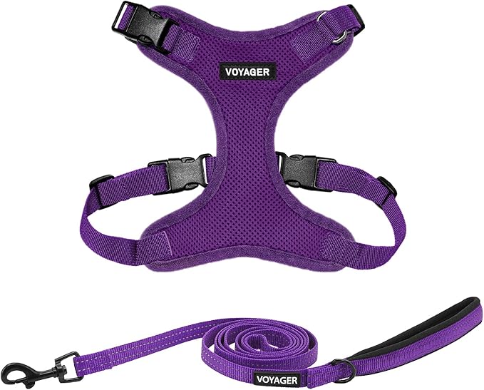 Best Pet Supplies Voyager Step-in Lock Pet Harness w Reflective Pet Leash Combo Set with Neoprene Handle 5ft - Supports Small, Medium and Large Breed Puppies/Cats - Purple Set, M