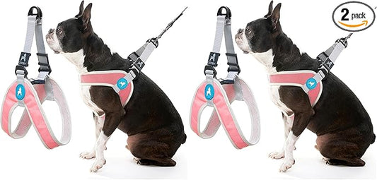 Gooby Simple Step in III Harness - Pink, X-Small - Small Dog Harness with Scratch Resistant Outer Vest - Soft Inner Mesh Harness for Small, Medium Dogs (Pack of 2)