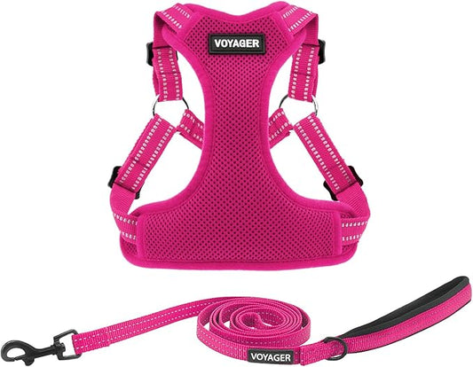 Best Pet Supplies Voyager Adjustable Step-in Flex Breathable Mesh Dog Harness for Small Medium Large Dogs Leash Set (Fuchsia), M