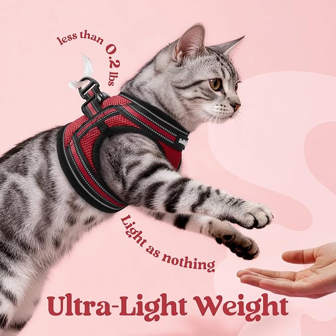 rabbitgoo Cat Harness and Leash, Step-in Escape Proof Kitten Harness Set, Soft Comfortable Cat Vest, Easy to Wear and Adjust, Reflective for Safe Outdoor Walking, Red, Large