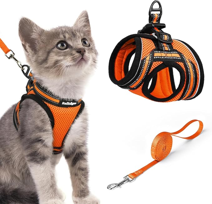 rabbitgoo Cat Harness and Leash, Step-in Escape Proof Kitten Harness Set, Soft Comfortable Cat Vest, Easy to Wear and Adjust, Reflective for Safe Outdoor Walking, Light Orange, Small