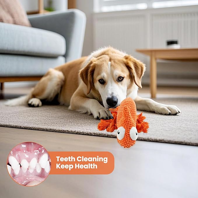 Bzonsmart Squeaky Dog Toys: Plush Soft Toys Dog Chew Toys for Puppy, Small, Medium, Large Dogs