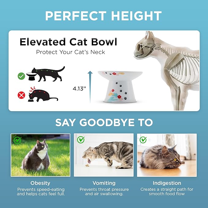 Necoichi Elevated Cat Food Bowl, Ceramic (Porcelain), Whisker-Friendly, Dishwasher & Microwave Safe, Non-Slip Silicone Base, Anti-Vomiting & Neck Fatigue (Fuji, Extra Wide, 2-Cups Capacity).