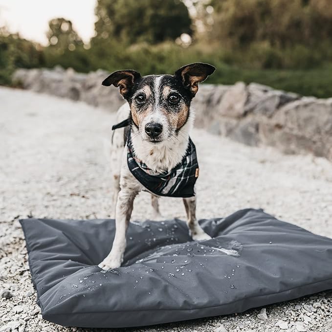 Waterproof Dog Bed Cover for Dogs (53 L x 42 W x 5 H Inches) Washable Removable Orthopedic, Cooling Gel and Memory Foam Pet Bed Protector Cover, 600D Oxford Fabric, Cover Only (Gray)