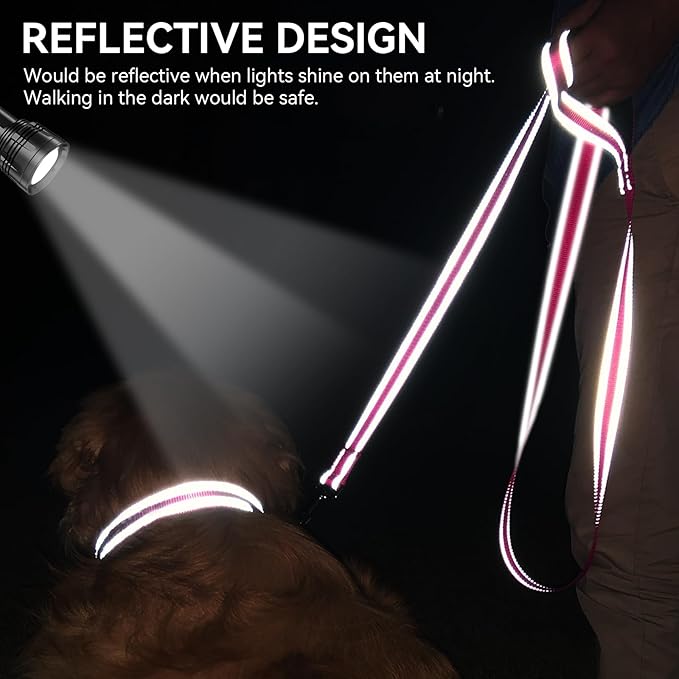 Joytale Dog Leash, 4 FT Double-Sided Reflective, Padded Handle Nylon Heavy Duty Leashes for Small Dogs Walking, Hotpink