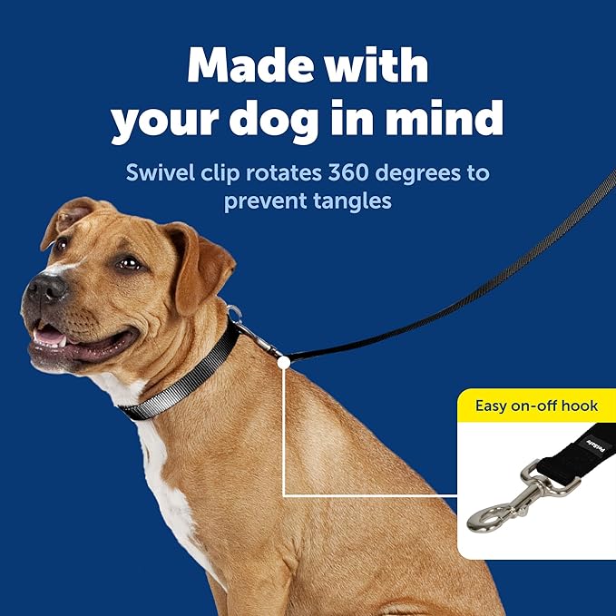 PetSafe Nylon Dog Leash Strong, Durable, Traditional Style Lead with Easy to Use Bolt Snap for Small, Medium and Large Dogs 1" x 4', Black