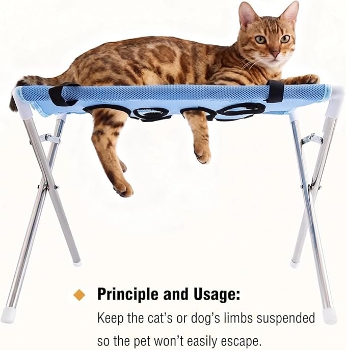 Foldable Pet Grooming Table, Dog Bathing Station with Stainless Steel Frame, Breathable Mesh Hammock for Small Dogs Cats, Portable Dog Grooming Stand for Bathing, Trimming, Nail Clipping (Black)