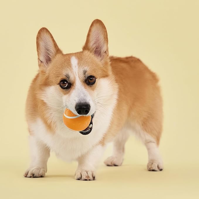 Playology Dog Toys | Squeaky Chew Ball for Dogs| Cheddar Cheese Scented Medium Dog Ball | Bouncy Floating Dog Balls