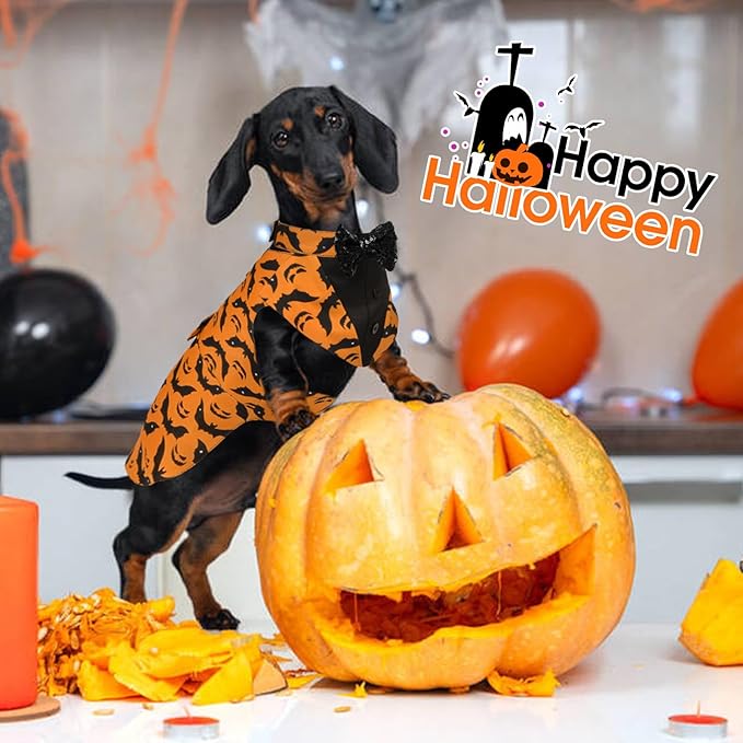 Kuoser Dog Tuxedo Suit and Bandana Set, Bat Pumpkin Print Dogs Halloween Outfit Adjustable Dog Halloween Costume with Bow Tie for Large Medium Small Dogs Golden Retriever Samo Bulldogs, Orange XL