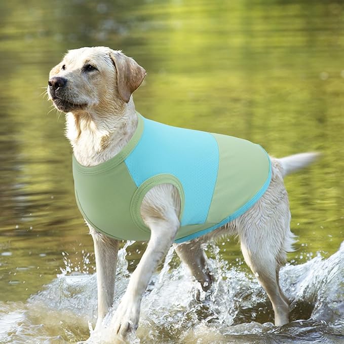BRKURLEG Dog Cooling Vest, UPF 50+ Sun Protection Dog Cooling Shirts, Breathable Quick Dry Vest for Small to Large Dogs & Cats, Lightweight Summer Pet Clothing for Hiking, Beach, Bluegreen, XL