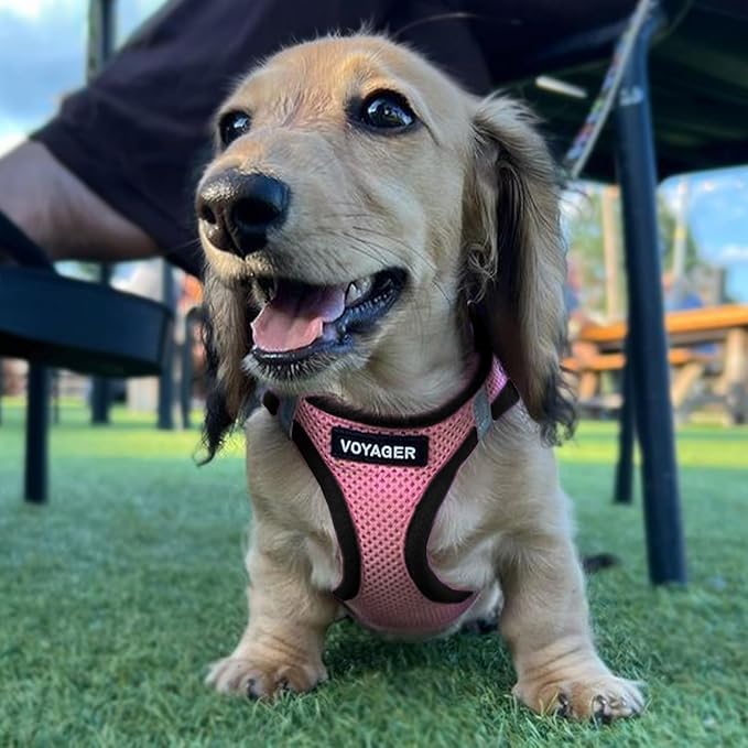 Best Pet Supplies Voyager Step-in Air All Weather Mesh Harness and Reflective Dog 5ft Leash Combo with Neoprene Handle, for Small, Medium and Large Breed Puppies - Set (Pink/Black Trim), XX-Small