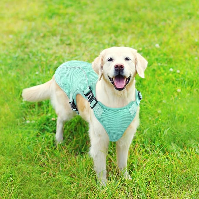 Kuoser Dog Cooling Vest, Pet Cooler Coat, Breathable Doggie Cool Jackets for Medium Dogs, Reflective Cooling Harness, Puppy Summer Essentials Green L