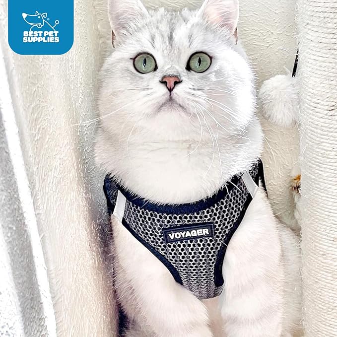 Best Pet Supplies - All Weather Mesh/Plush, Reflective, No Pull Harness for Small, Medium Dogs, Cats - Secure with Hook & Loop Fastener, Buckle, Double D-Rings - Gray 2-Tone, M