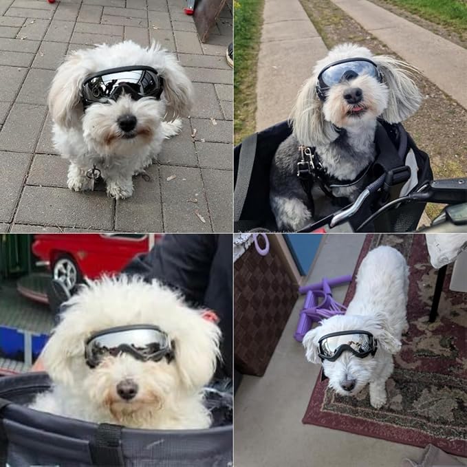 LESYPET Dog Goggles Small Breed, UV Wind Dust Protection Small Dog Sunglasses with Adjustable Strap, Puppy Sunglasses for Outdoor Driving Eye Protection, S