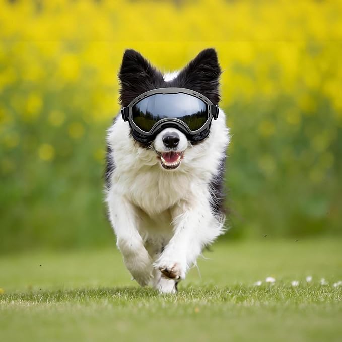 Dog Goggles for Medium to Large Breeds, UV Protection Dog Sunglasses with PC Lens, Soft TPU Frame and Adjustable Straps, Windproof Dustproof Anti-Fog Pet Eyewear for Outdoor Activities (Black Frame)