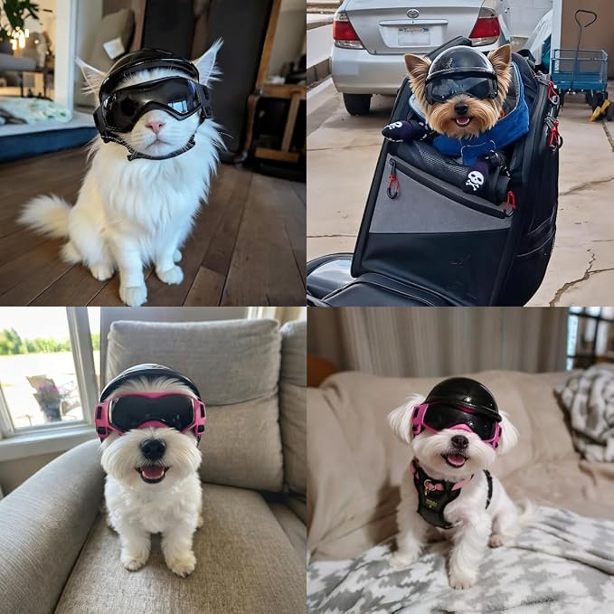 LESYPET Dog Helmet and Goggles for Extra Small Breed, Puppy Motorcycle Helmet with Ear Holes, UV Protection Extra Small Dog Sunglasses for Outdoor Activities/Riding/Walking
