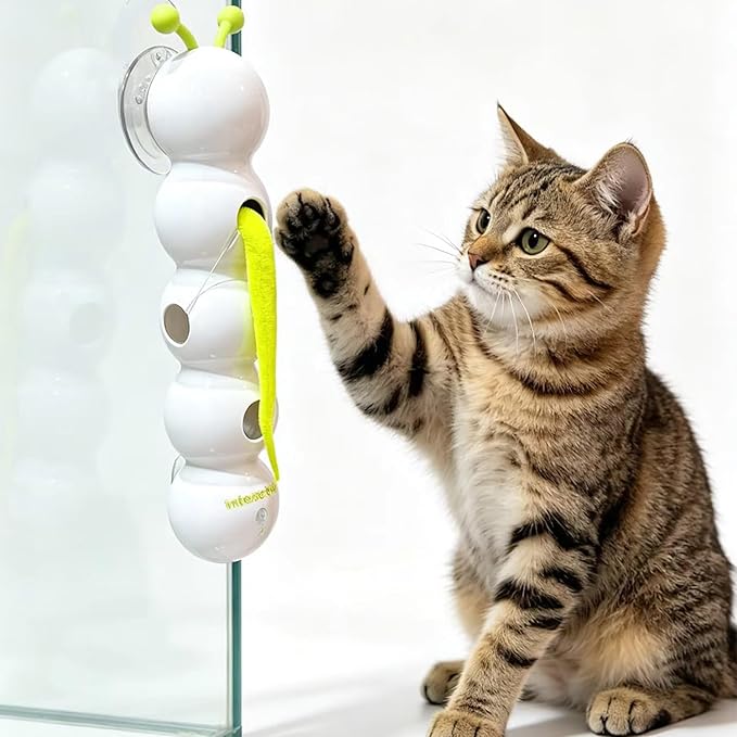 Caterpillar Cat Toy, Interactive with Worm Design, Automatic Cat Toy with Motion Sensor, Replaceable Tails Bite Resistant USB Rechargeable Teaser with Suction Cup,Indoor Cats for Daily Play
