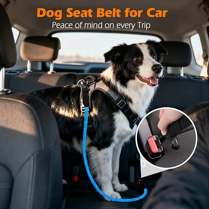PetBonus Dog Seat Belt for Car, Durable Rope Dog Car Harness Seatbelt for Vehicle, Pet Tether Safety Restraint with Heavy Duty Buckle Hook Latch Lockable Clip for Small Medium Large Breeds(Light Blue)