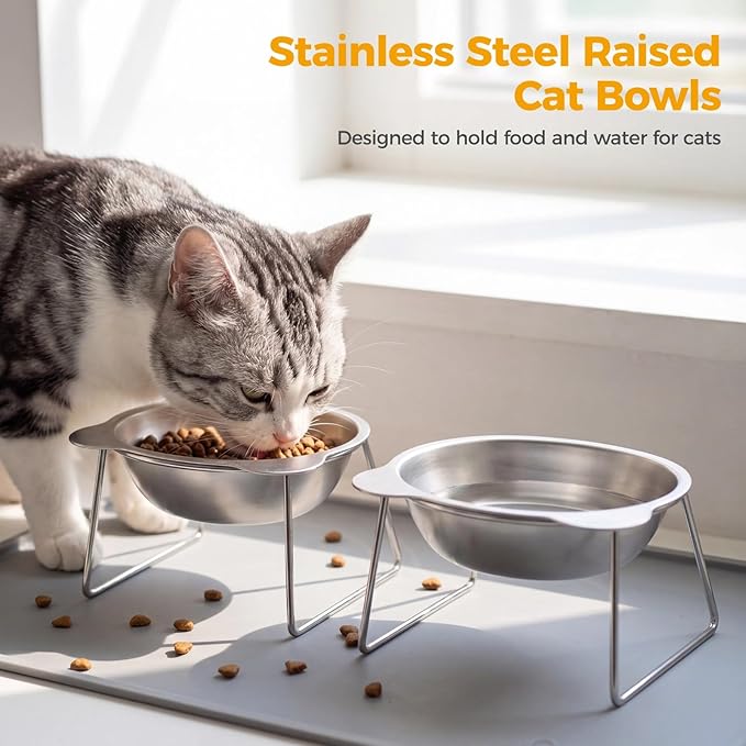 2 Pcs Elevated Cat Bowls, 304 Stainless Steel Tilted Food and Water Pet Feeder, 15° Neck Guard Design, Whisker Friendly, Non-Slip Base, 4.9 x 4.3 x 4.1 in for Small Cats, Dogs, Puppies