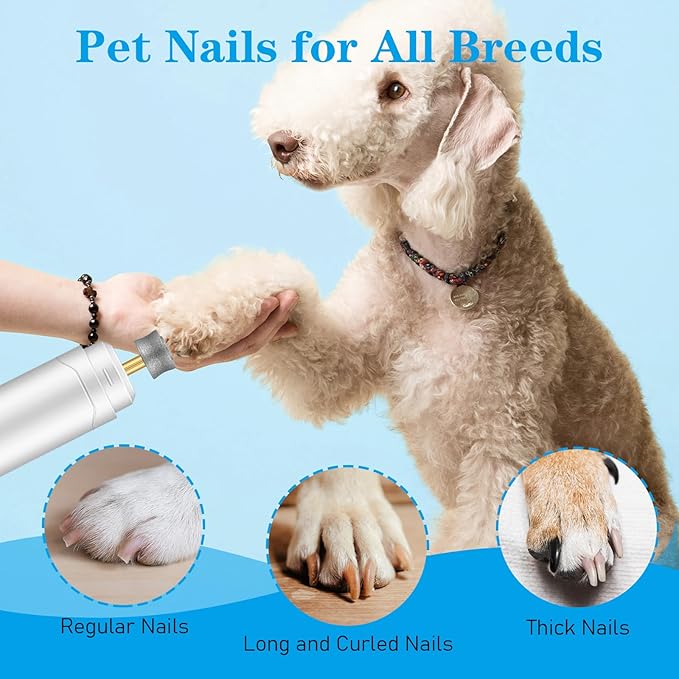 Dog Nail Grinder Replacement Heads, 10pcs Pet Nail Grinder Diamond Tip Replacement, Dog Claw Smoothing Grinders Bits fot Most Electric Pet Paw Trimmer Nails Grinders, Highly Efficient and Safe