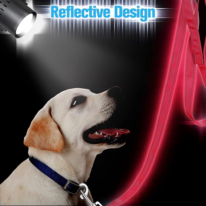 6 Pieces Dog Leash Bulk for Medium and Large Dog, Heavy Duty Nylon Pack Dogs Leashes Padded Handle Double Sided Reflective Puppy Collar for Walking, Training, 5 Feet(Classic)