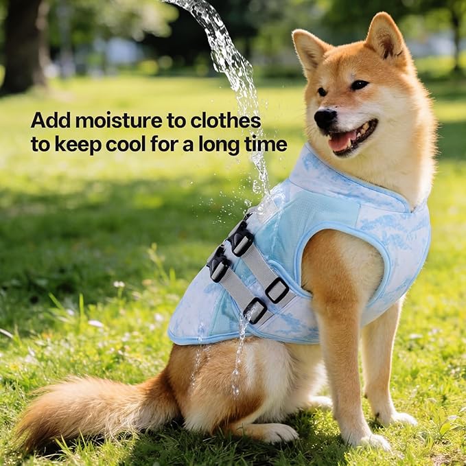 DORA BRIDAL Dog Cooling Vest for Summer, Lightweight Breathable Mesh Cooling Jacket with Harness, Soft Pet Cooler Shirt for Large Dogs, UV Protection for Beach Hiking Walking -2XL, Blue