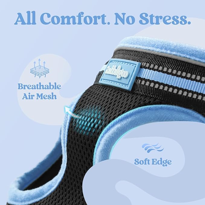 rabbitgoo Cat Harness and Leash, Step-in Escape Proof Kitten Harness Set, Soft Comfortable Cat Vest, Easy to Wear and Adjust, Reflective for Safe Outdoor Walking, Black&Light Blue, Large