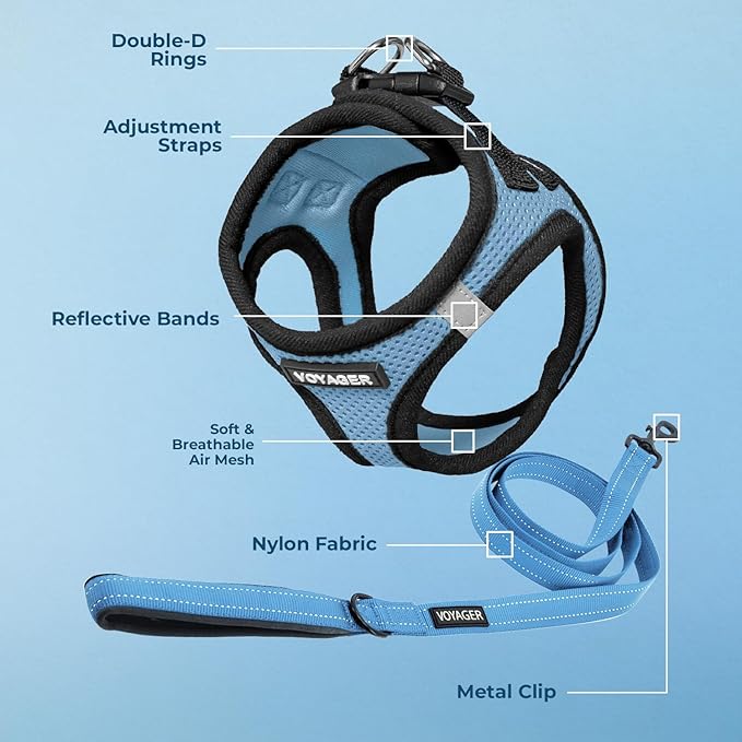 Best Pet Supplies Voyager Step-in Air All Weather Mesh Harness and Reflective Dog 5ft Leash Combo with Neoprene Handle, for Small, Medium and Large Breed Puppies - Set (Baby Blue/Black Trim), Large