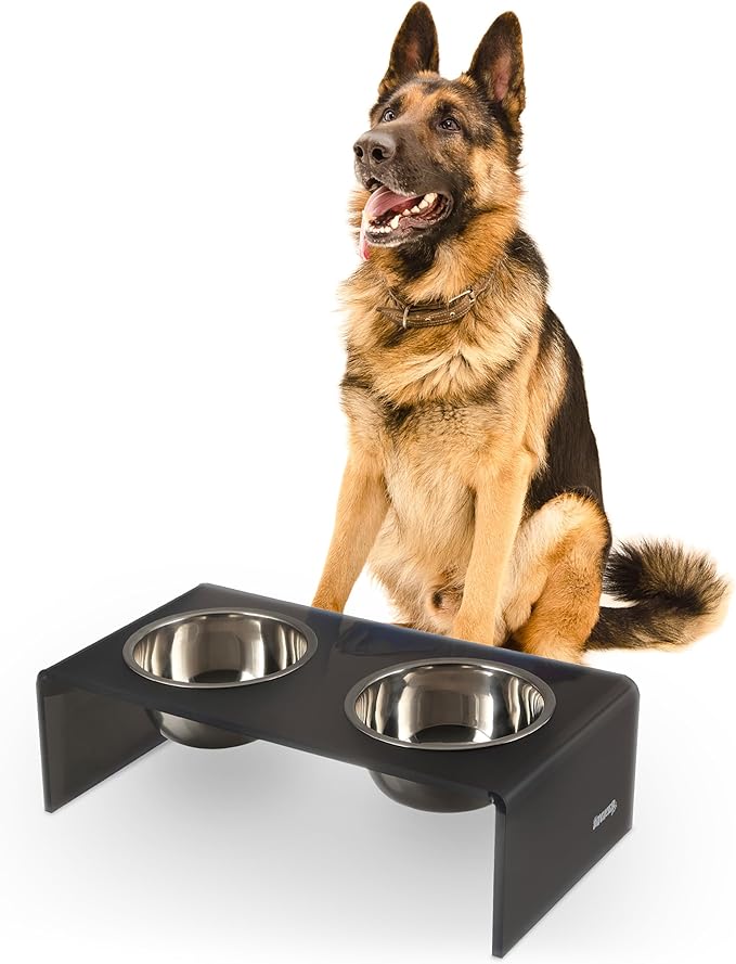 THE LICKER Store DBL2001J Keaton 7.5" Medium/Large Modern Acrylic Rectangular Elevated Pet Feeder with 54oz 2-Stainless Steel Bowls, Dark Gray/Chrome