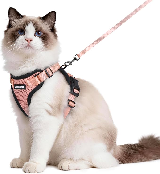 rabbitgoo Cat Harness and Leash Set, Escape Proof Vest Harness for Safe Outdoor Walks, Soft Breathable Adjustable Vest with Reflective Strips for Average to Large Cats, Light Salmon Pink, M