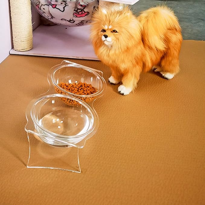 TOYANDONA Acrylic Double Bowl Pet Food and Water Dish Elevated Cat Puppy Drinking Bowl Indoor Kitten Feeding Station 11.81X6.69X3.74In Easy to Clean Stable Base