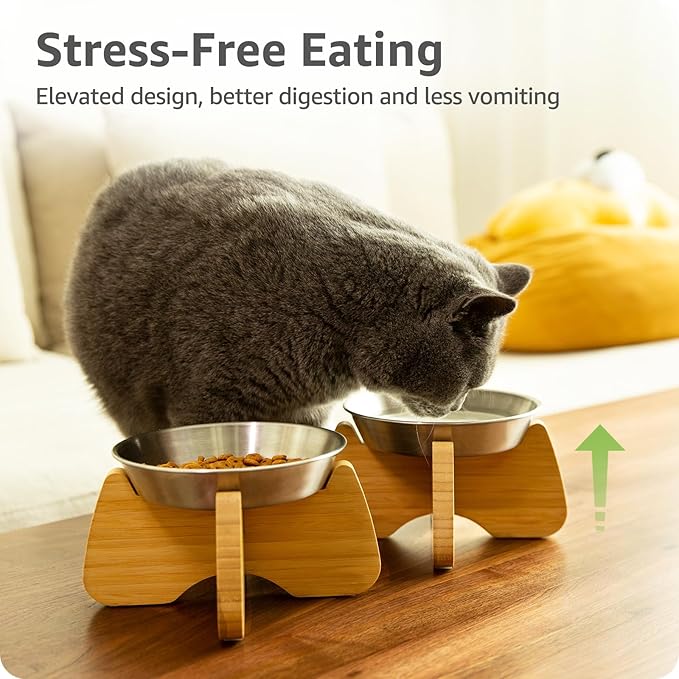 Raised Cat Bowl, Stainless Steel Elevated Cat Bowl Whisker Friendly Wide Flat Shallow Cute with Bamboo Stand Elevated Cat Food Plate Dishwasher Safe No Slip Lifted Raised Cat Dish Easy to Clean