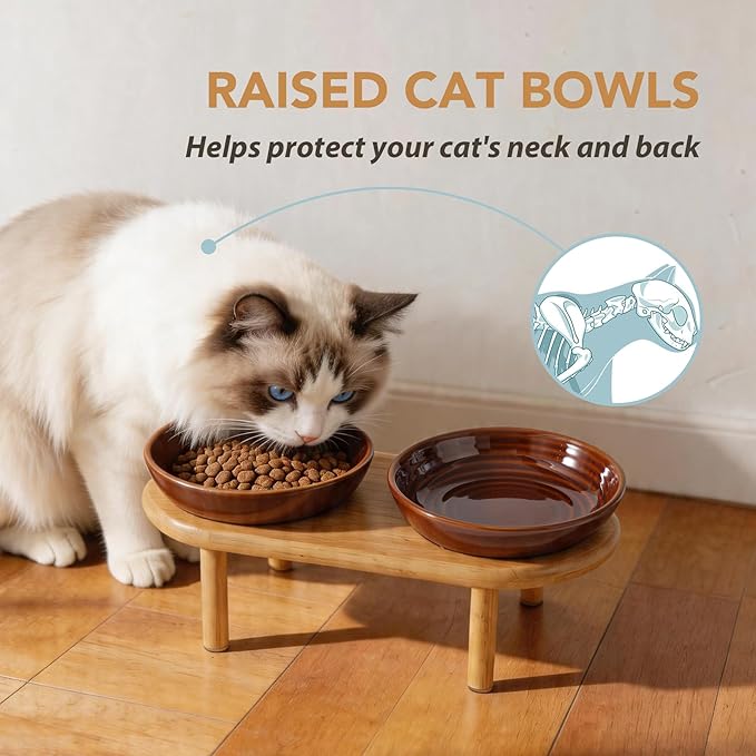 Havniva Elevated Cat Bowls Raised Ceramic Cat Bowl, 5.9” Wide Opening Cat Food Bowl Whisker Friendly Cat Dish Anti-Slip with Bamboo Stand, Shallow Pet Food & Water Bowl for Indoor Cats