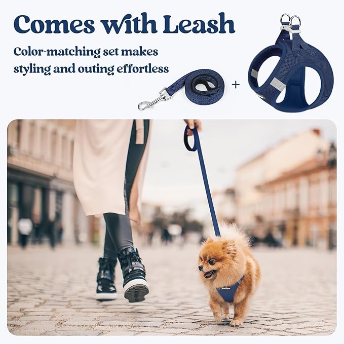rabbitgoo Dog Harness Small Sized and Leash Set, Step in Soft Light Puppy Vest, Breathable Mesh Pet Harness, Reflective for Outdoor Safe Walking, Navy Blue XXXS