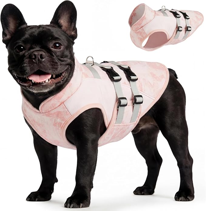 DORA BRIDAL Dog Cooling Vest for Summer, Lightweight Breathable Mesh Cooling Jacket with Harness, Soft Pet Cooler Shirt for Frenchie, UV Protection for Beach Hiking Walking -L, Pink