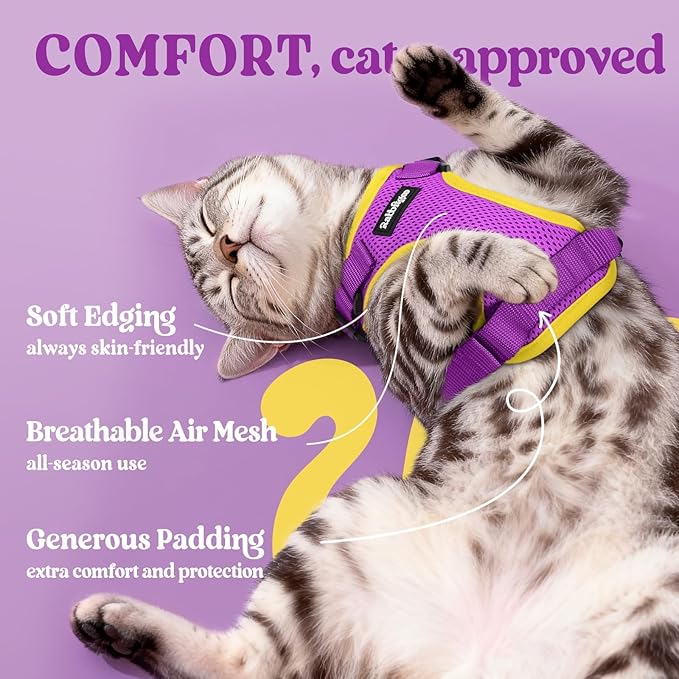 rabbitgoo Cat Harness and Leash Set, Escape Proof Vest Harness for Safe Outdoor Walks, Soft Breathable Adjustable Vest with Reflective Strips for Small and Average Cats, Purple&Yellow, S