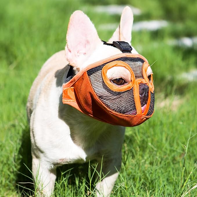 Short Snout Dog Muzzles- Adjustable Breathable Mesh Bulldog Muzzle for Biting Chewing Licking Training Grooming Dog Mask (Orange, Small/9"-12")