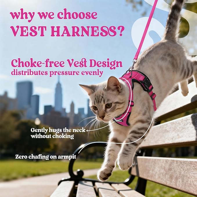 rabbitgoo Cat Harness and Leash Set, Escape Proof Vest Harness for Safe Outdoor Walks, Soft Breathable Adjustable Vest with Reflective Strips for Average to Large Cats, Rose Red, M