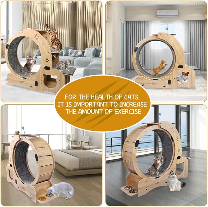 Cat Exercise Wheel for Indoor Cat Treadmill Running Wheel Toy with Non-Slip Base, 6-in-1 Multi-Functional Large
