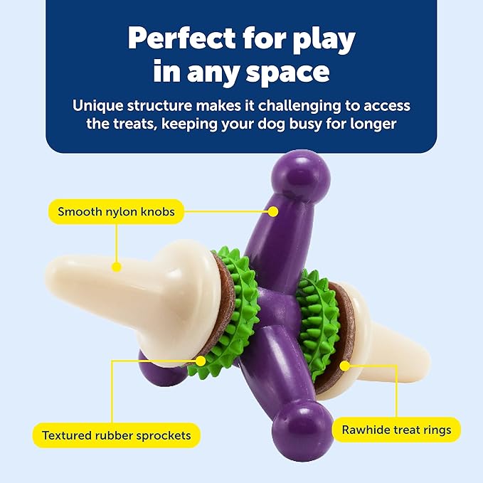 PetSafe Busy Buddy Jack - Treat Holding Dog Chew Toys - Helps Clean Teeth - Vanilla Scented Rubber for Strong Chewers - Treat Refills Included, Interactive Dog Toy Helps Keep Dogs Busy, Purple, Medium