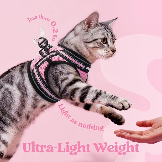 rabbitgoo Cat Harness and Leash, Step-in Escape Proof Kitten Harness Set, Soft Comfortable Cat Vest, Easy to Wear and Adjust, Reflective for Safe Outdoor Walking, Pink, Medium