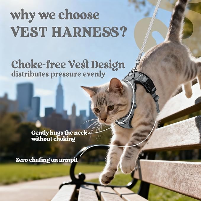 rabbitgoo Cat Harness and Leash Set, Escape Proof Vest Harness for Safe Outdoor Walks, Soft Breathable Adjustable Vest with Reflective Strips for Average to Large Cats, Grey, M