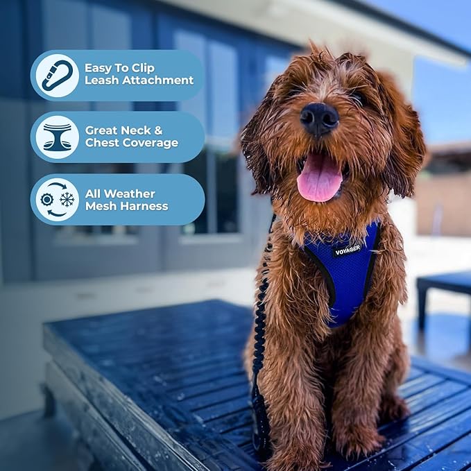 Best Pet Supplies Voyager Step-in Air All Weather Mesh Harness and Reflective Dog 5ft Leash Combo with Neoprene Handle, for Small, Medium and Large Breed Puppies - Set (Royal Blue/Black Trim), Small