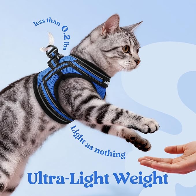 rabbitgoo Cat Harness and Leash, Step-in Escape Proof Kitten Harness Set, Soft Comfortable Cat Vest, Easy to Wear and Adjust, Reflective for Safe Outdoor Walking, Blue, X-Large
