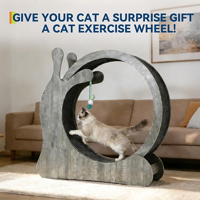 40" Cat Exercise Wheel, Cat Wheel for Indoor Pets, Running Wheels with Scratching Board and Playing Balls, Quiet Cats Sport Toys for Running Walking Training