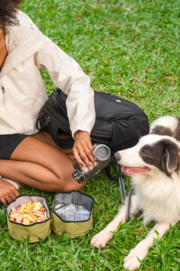 OllyDog Superbowl | Collapsible Dog Travel Bowl | 2-Compartment Food & Water | Foldable Portable Dog Dish | Hiking Camping Backpacking | Small Medium Large Dogs (Alchemy)