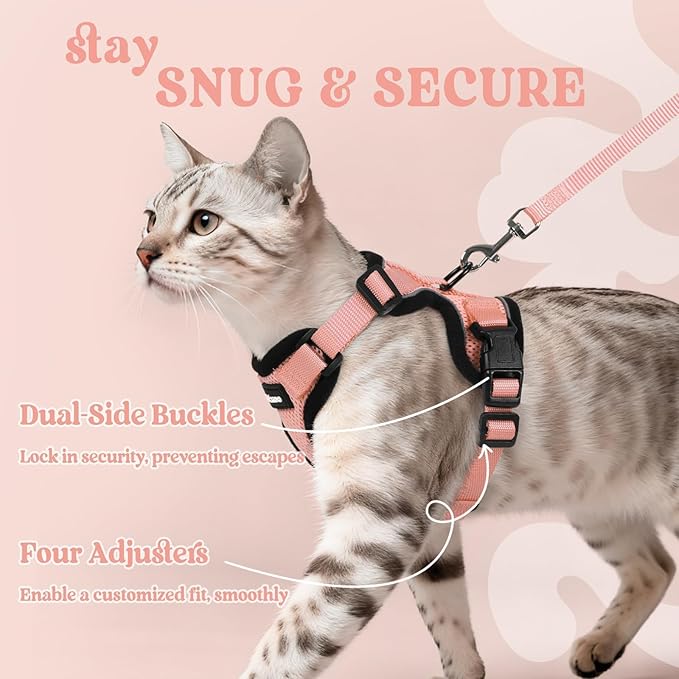 rabbitgoo Cat Harness and Leash Set, Escape Proof Kitten Harness for Safe Outdoor Walks, Soft Breathable Adjustable Vest with Reflective Strips for Kittens and Small Cats, Light Salmon Pink, XS