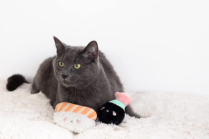 Pearhead Pet Interactive Plush, Chew, and Catnip Sushi & Soy Sauce Cat Toys, Set of 2, Owner Playtime Accessory, Must Have Kitten Accessories