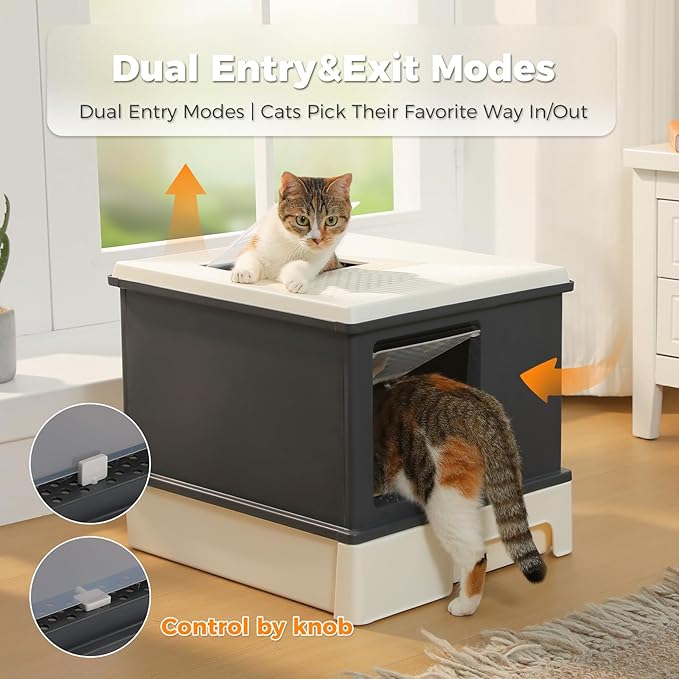 PAWZ Road Large Cat Litter Box, Dual Entry Litter Box with Lid, Fully Enclosed Drawer Type Cat Litter Box for Large Cats,Dark Gray